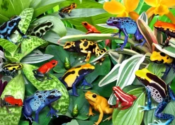 Alipson Puzzle Robinson Howard - Fun Frogs* Autres Animaux|De 500 À 999 Pièces