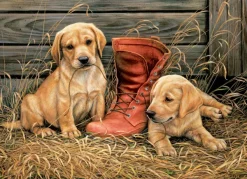 Eurographics Rosemary Millette - Something Old Something New* Chiens|Rétros Et Nostalgie