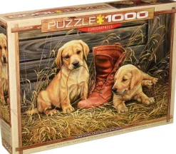 Eurographics Rosemary Millette - Something Old Something New* Chiens|Rétros Et Nostalgie