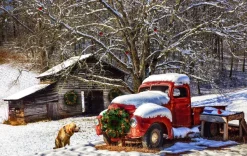 SunsOut Réveillon Nostalgique*Femme Chiens|Rétros Et Nostalgie