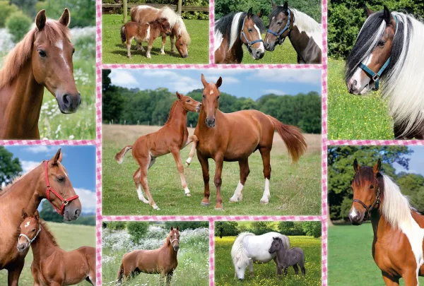 Schmidt Spiele Rêves de Cheval*Enfant À Partir De 9 Ans|Chevaux