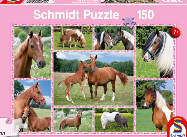 Schmidt Spiele Rêves de Cheval*Enfant À Partir De 9 Ans|Chevaux