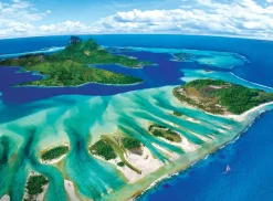 Eurographics Save the Planet Collection - Récif de Corail*Femme Zen Et Bien Être|Plages Et Îles De Rêve