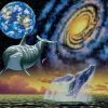 Grafika Schim Schimmel - Cosmic Seas* Dauphins|Animaux Marins
