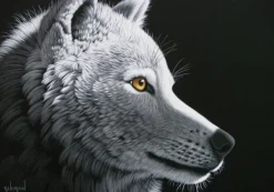 Grafika Schimmel William - Schim Schimmel - Wolf Light* Loups|De 1 000 Pièces