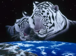 Grafika Schimmel William - Schim Schimmel - Sleep Tight* De 2 000 Pièces|De 2 000 Pièces