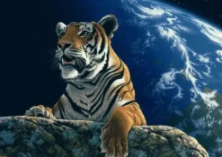 Grafika Schimmel William - Schim Schimmel - Only One Home* De 2 000 Pièces|De 2 000 Pièces