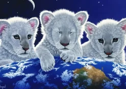 Grafika Schimmel William - Schim Schimmel - Secret, Mystery and Hope* De 1 500 Pièces|De 1 500 Pièces