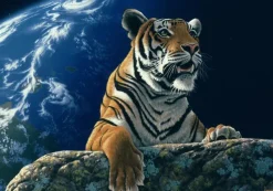 Grafika Schimmel William - Schim Schimmel - Only One Home 2* De 2 000 Pièces|De 2 000 Pièces