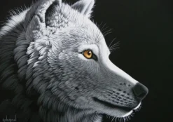 Grafika Schimmel William - Schim Schimmel - Wolf Light* De 1 500 Pièces|De 1 500 Pièces