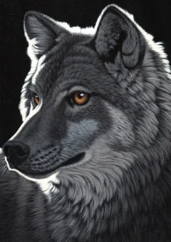 Grafika Schimmel William - Schim Schimmel - Night Wolf* Loups|De 1 000 Pièces