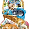 SunsOut Schory Lori - Lori Schory - Free Kitties* Forme|Chats