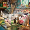Gibsons Snoozing in The Shed* Chats|De 1 000 Pièces