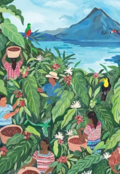 Pieces & Peace Sofroniou Miranda - Guatemala*Femme Déco Culinaire|Hommes Et Femmes