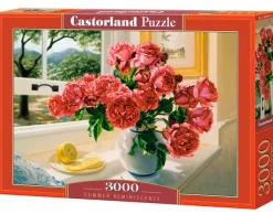 Castorland Souvenir d'Été* De 3 000 Pièces|De 3 000 Pièces