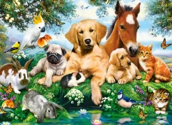 Castorland Summer Pals*Enfant À Partir De 9 Ans|Chiens