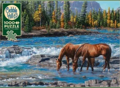 Cobble Hill Sur les Rochers* Chevaux|Montagnes