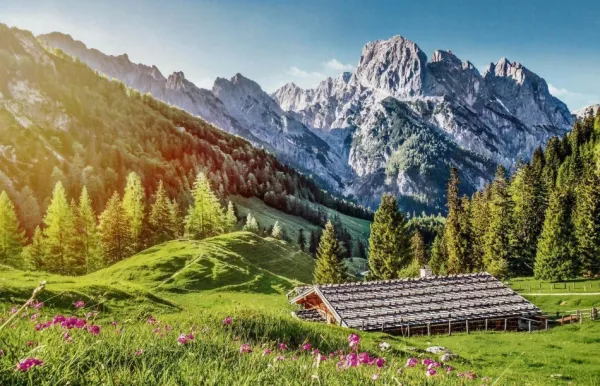 Castorland Été dans les Alpes* Montagnes|De 500 À 999 Pièces