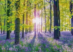 Schmidt Spiele Tapis de Campanules dans les Bois* Forêts, Fleurs Et Jardins|De 1 000 Pièces