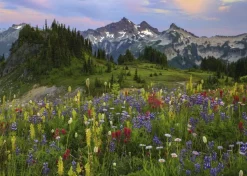 Heye Tatoosh Mountains*Femme De 2 000 Pièces|De 2 000 Pièces