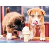 Trefl Temps d'une Glace !*Femme Chiens|Humour, Satire Et Wasgij