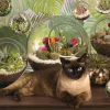 Cobble Hill Terrarium Cat* Chats|De 1 000 Pièces