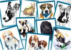 Dino The Dog Gump*Femme Chiens|Humour, Satire Et Wasgij