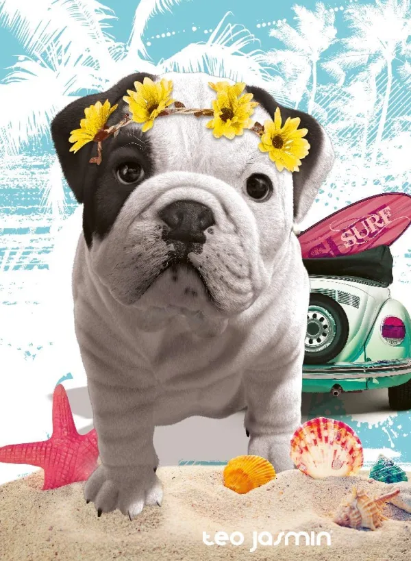 Nathan Téo California* Chiens|De 500 À 999 Pièces