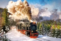 Castorland Train à Vapeur* Trains|De 1 000 Pièces