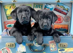 Perre / Anatolian Travel Labs* Chiens|De 500 À 999 Pièces