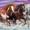 Schmidt Spiele Trio de Chevaux Sauvages*Enfant À Partir De 9 Ans|Chevaux