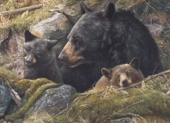 Cobble Hill Twice the Love* Animaux Sauvages|Animaux De La Forêt