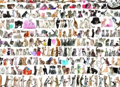 Eurographics Un Monde de Chats* Chats|De 1 000 Pièces