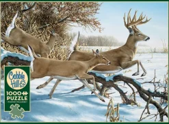 Cobble Hill upture de couverture* Animaux De La Forêt|Neige