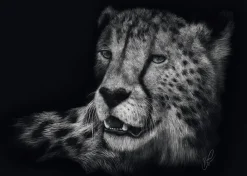 Schmidt Spiele Véloce – Le Guépard : Sous le Signe de la Grâce* Animaux Sauvages|De 1 000 Pièces