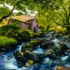 Roovi Watermill* Cascades|Phares Et Moulins