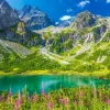 Castorland Zelene Pleso, Tatras, Slovaquie* Montagnes|Forêts, Fleurs Et Jardins